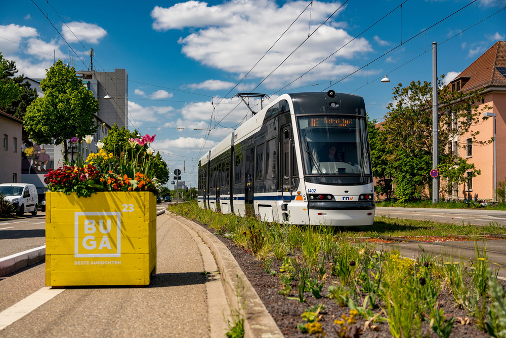 Die Rhein-Neckar-Tram (RNT) bei der Bundesgartenschau 2023 in Mannheim